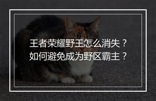 王者荣耀野王怎么消失?如何避免成为野区霸主?