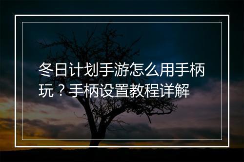 冬日计划手游怎么用手柄玩?手柄设置教程详解