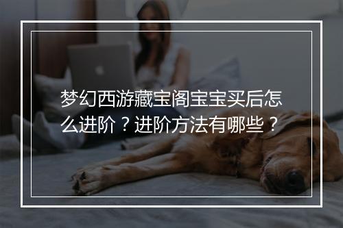 梦幻西游藏宝阁宝宝买后怎么进阶?进阶方法有哪些?
