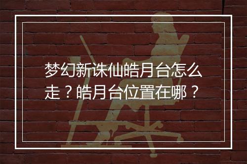 梦幻新诛仙皓月台怎么走?皓月台位置在哪?