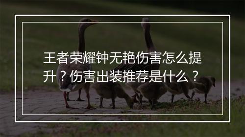 王者荣耀钟无艳伤害怎么提升?伤害出装推荐是什么?