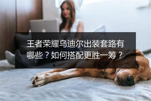 王者荣耀乌迪尔出装套路有哪些?如何搭配更胜一筹?