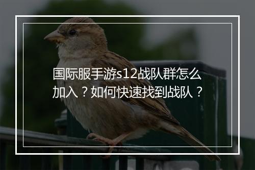 国际服手游s12战队群怎么加入?如何快速找到战队?