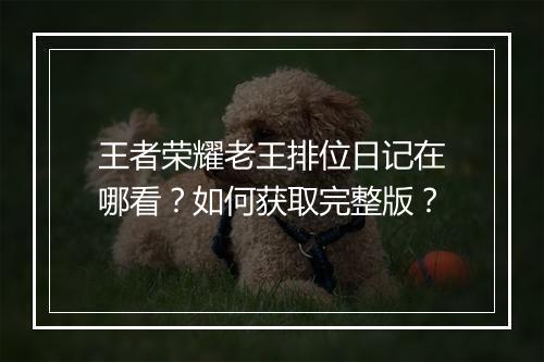 王者荣耀老王排位日记在哪看?如何获取完整版?