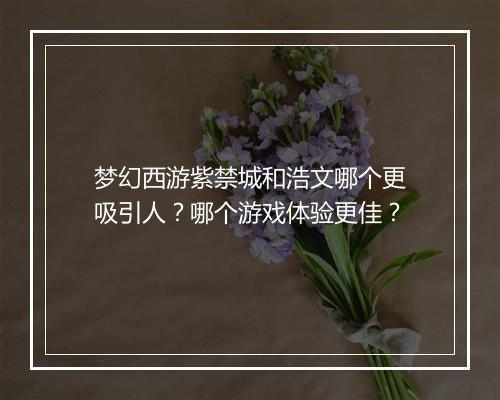 梦幻西游紫禁城和浩文哪个更吸引人?哪个游戏体验更佳?