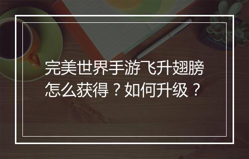 完美世界手游飞升翅膀怎么获得?如何升级?