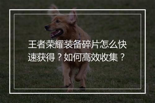 王者荣耀装备碎片怎么快速获得?如何高效收集?