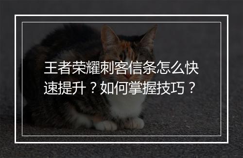 王者荣耀刺客信条怎么快速提升?如何掌握技巧?
