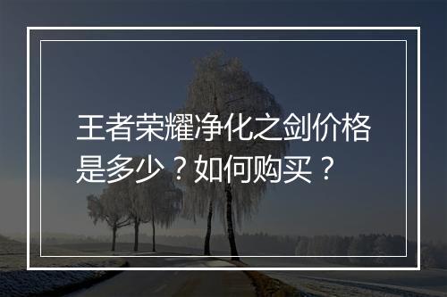 王者荣耀净化之剑价格是多少?如何购买?
