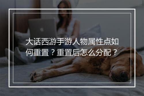 大话西游手游人物属性点如何重置?重置后怎么分配?