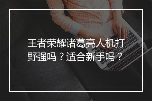 王者荣耀诸葛亮人机打野强吗?适合新手吗?