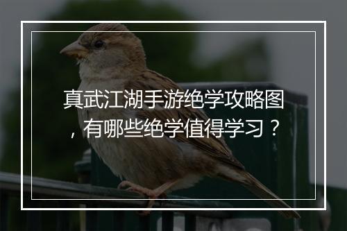 真武江湖手游绝学攻略图,有哪些绝学值得学习?