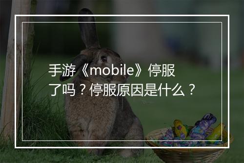 手游《mobile》停服了吗?停服原因是什么?