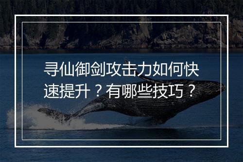 寻仙御剑攻击力如何快速提升?有哪些技巧?