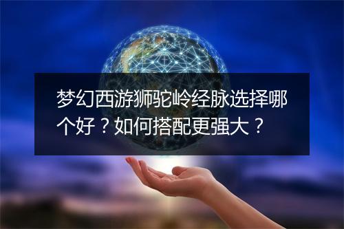 梦幻西游狮驼岭经脉选择哪个好?如何搭配更强大?