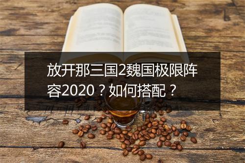 放开那三国2魏国极限阵容2020?如何搭配?
