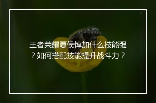 王者荣耀夏侯惇加什么技能强?如何搭配技能提升战斗力?