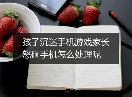 孩子沉迷手机游戏家长怒砸手机怎么处理呢