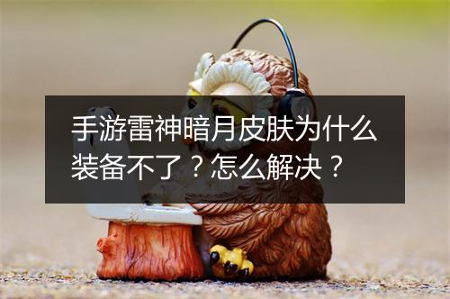 手游雷神暗月皮肤为什么装备不了?怎么解决?