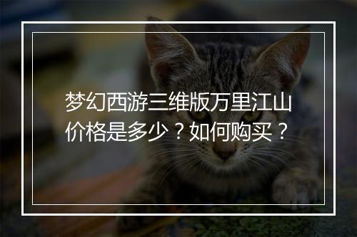 梦幻西游三维版万里江山价格是多少?如何购买?