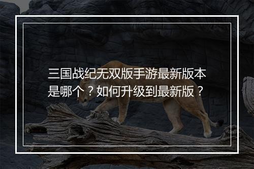 三国战纪无双版手游最新版本是哪个?如何升级到最新版?