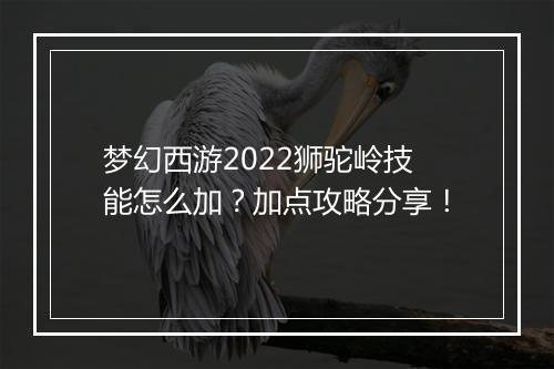 梦幻西游2022狮驼岭技能怎么加?加点攻略分享!