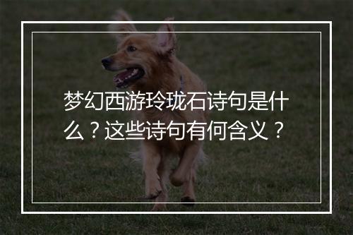 梦幻西游玲珑石诗句是什么?这些诗句有何含义?