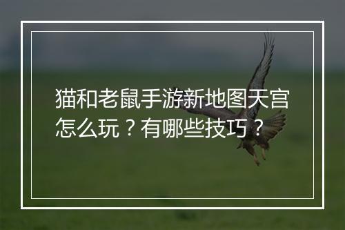 猫和老鼠手游新地图天宫怎么玩？有哪些技巧？