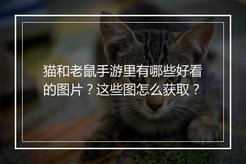 猫和老鼠手游里有哪些好看的图片?这些图怎么获取?