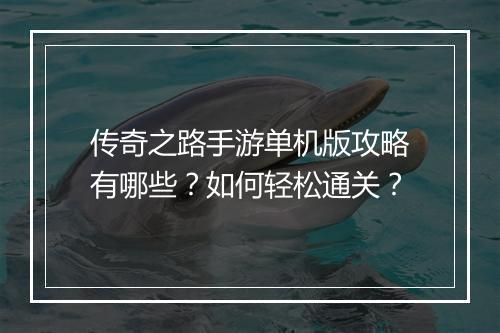 传奇之路手游单机版攻略有哪些?如何轻松通关?