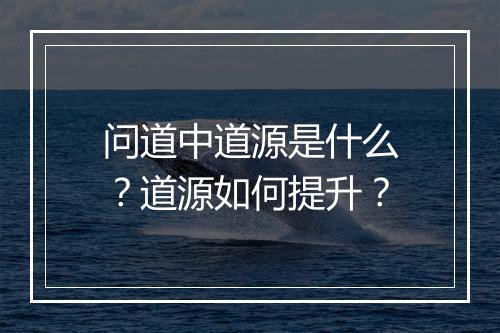 问道中道源是什么？道源如何提升？