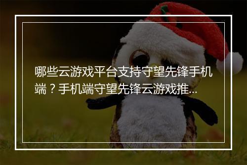 哪些云游戏平台支持守望先锋手机端？手机端守望先锋云游戏推荐？