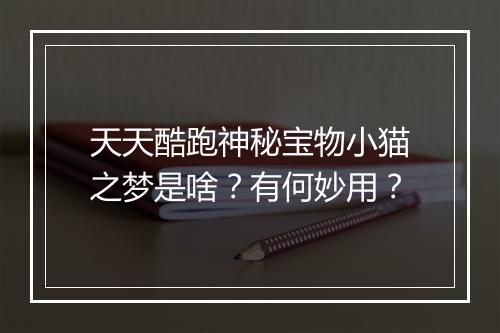 天天酷跑神秘宝物小猫之梦是啥？有何妙用？