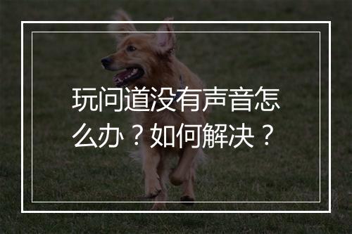 玩问道没有声音怎么办？如何解决？
