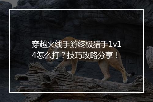 穿越火线手游终极猎手1v14怎么打？技巧攻略分享！