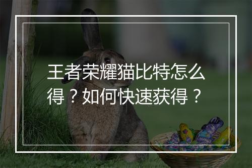 王者荣耀猫比特怎么得？如何快速获得？