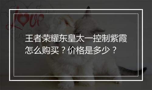 王者荣耀东皇太一控制紫霞怎么购买？价格是多少？
