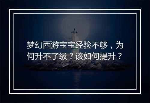 梦幻西游宝宝经验不够，为何升不了级？该如何提升？