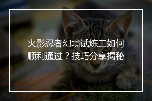 火影忍者幻境试炼二如何顺利通过？技巧分享揭秘