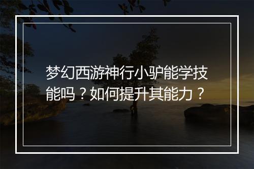 梦幻西游神行小驴能学技能吗？如何提升其能力？