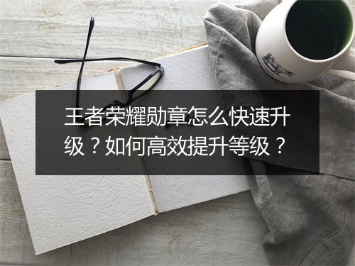 王者荣耀勋章怎么快速升级？如何高效提升等级？