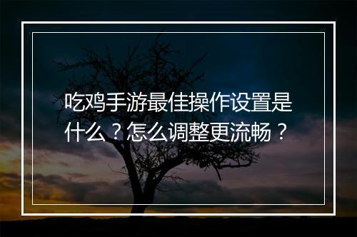 吃鸡手游最佳操作设置是什么？怎么调整更流畅？