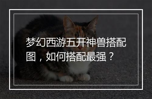 梦幻西游五开神兽搭配图，如何搭配最强？