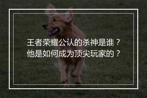 王者荣耀公认的杀神是谁？他是如何成为顶尖玩家的？