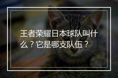 王者荣耀日本球队叫什么?它是哪支队伍?