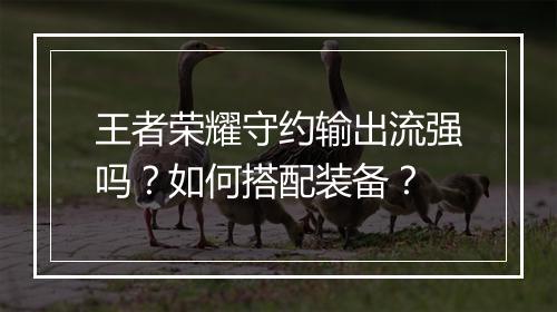 王者荣耀守约输出流强吗？如何搭配装备？