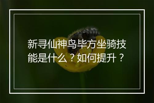 新寻仙神鸟毕方坐骑技能是什么？如何提升？