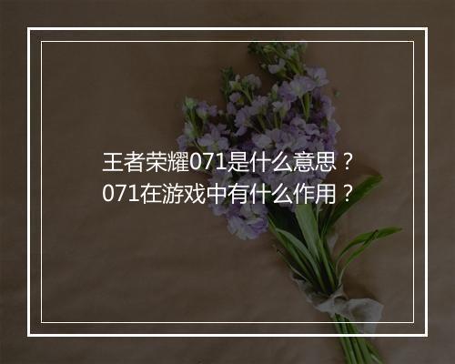 王者荣耀071是什么意思？071在游戏中有什么作用？