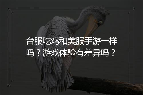 台服吃鸡和美服手游一样吗？游戏体验有差异吗？