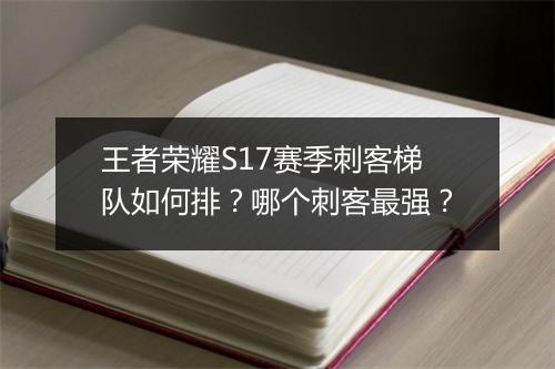 王者荣耀S17赛季刺客梯队如何排？哪个刺客最强？